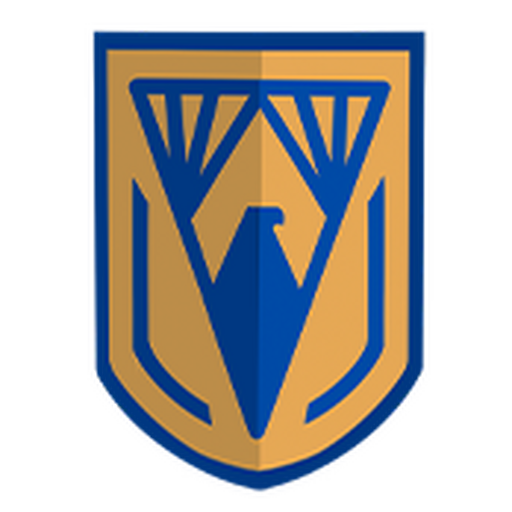 LV United Image Logo