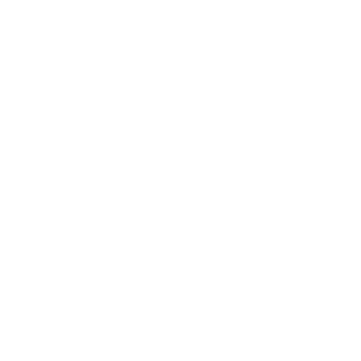 Wiser Warriors Image Logo