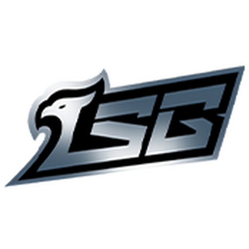 LSG Image Logo
